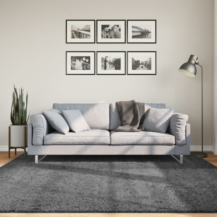 Tapis OVIEDO à poils courts anthracite 200x200 cm – Image 1