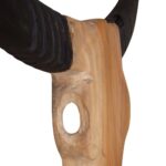 Sculpture de crâne de taureau teck 66x15x88 cm – Image 5