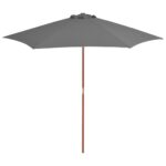 Parasol d'extérieur avec mât en bois 270 cm Anthracite