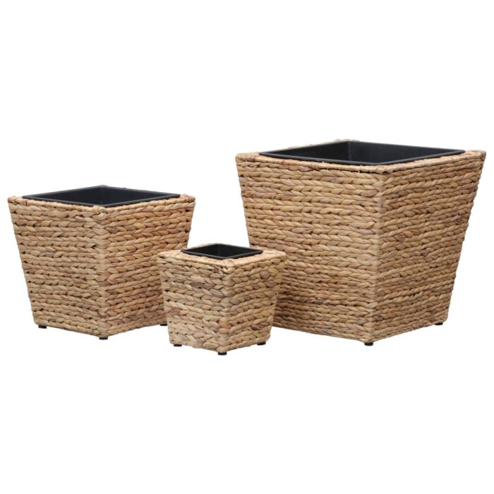 Lits surélevés 3 pcs Jacinthe d'eau – Image 3