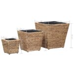 Lits surélevés 3 pcs Jacinthe d'eau – Image 7