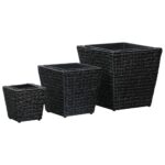 Lits surélevés 3 pcs Jacinthe d'eau Noir