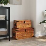 Coffre de rangement 2 pcs Bois de manguier brut