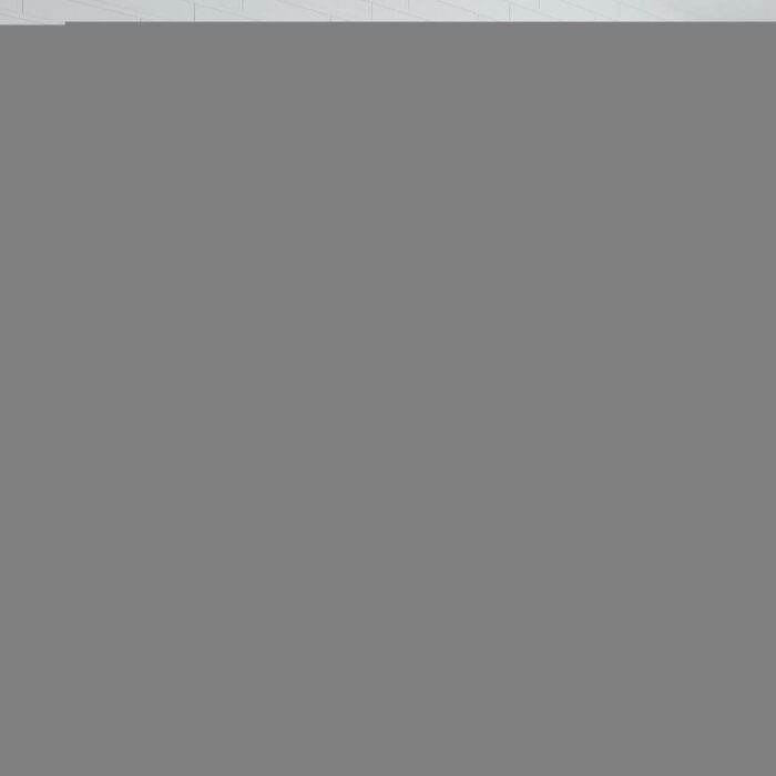 Décoration murale en forme de crâne de taureau Aluminium Argenté – Image 2