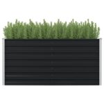 Jardinière surélevée Anthracite 160x80x77 cm Acier galvanisé