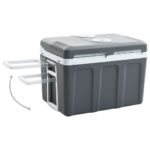 Glacière portable thermoélectrique 40 L 12 V 230 V E – Image 3