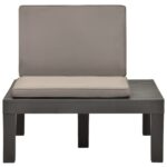 Chaises de salon de jardin et coussins 2pc Plastique Anthracite – Image 2