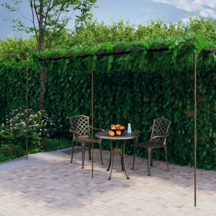 Pergola de jardin Marron antique 6x3x2,5 m Fer – Image 1
