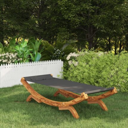 Lit de repos extérieur 100x188,5x44 cm Bois courbé Anthracite