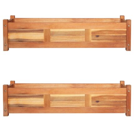 Lits surélevés de jardin 2 pcs Bois d'acacia 100x30x25 cm
