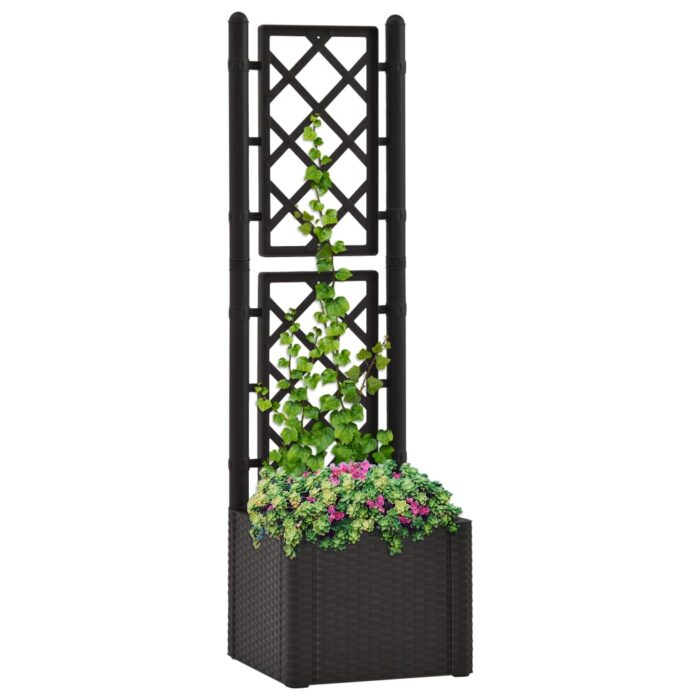 Lit surélevé de jardin treillis système d'arrosage Anthracite – Image 1