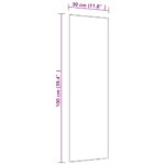 Miroir de porte Noir 30x100 cm Verre et aluminium – Image 2