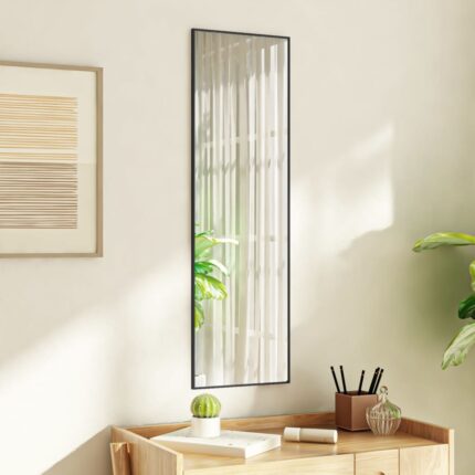 Miroir de porte Noir 30x100 cm Verre et aluminium