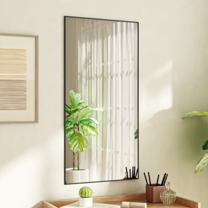 Miroir de porte Noir 50x100 cm Verre et aluminium