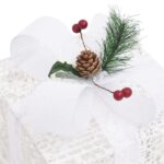 Boîtes-cadeaux de Noël décoratives 3 pcs Extérieur Intérieur – Image 4