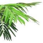Palmier Phoenix artificiel avec pot 190 cm Vert – Image 2