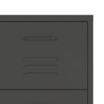 Armoire à tiroirs Anthracite 80x35x101,5 cm Acier – Image 6