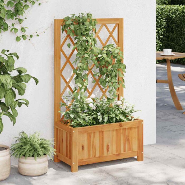 Lit surélevé de jardin avec treillis Bois massif d'acacia – Image 1