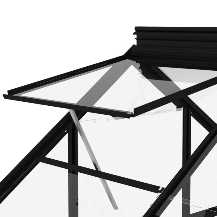 Serre en verre Anthracite 155x395,5x191 cm Aluminium – Image 6