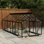 Serre en verre Anthracite 155x395,5x191 cm Aluminium