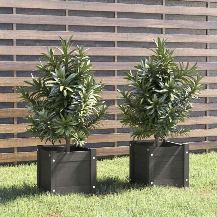 Jardinières d'extérieur 2 pcs Gris 31x31x31 cm Bois de pin – Image 1