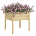 Jardinières d'extérieur 2 pcs 70x70x70 cm bois de pin massif – Image 2