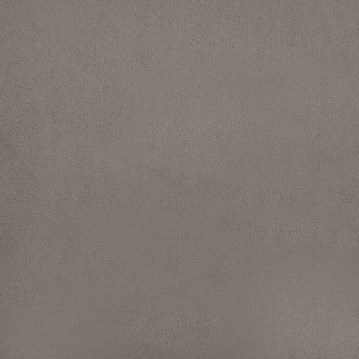 Coussins décoratifs 2 pcs Gris clair 40x40 cm Velours – Image 4