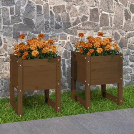 Jardinières 2 pcs Marron miel 40x40x52,5 cm Bois massif de pin