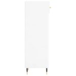 Armoire à chaussure Blanc brillant 30x35x105 cm Bois ingénierie – Image 5