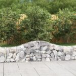 Paniers à gabions arqués 3 pcs 200x30x40/60 cm Fer galvanisé