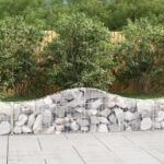 Paniers à gabions arqués 9 pcs 200x30x40/60 cm Fer galvanisé