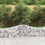 Paniers à gabions arqués 10 pcs 200x50x40/60 cm fer galvanisé