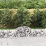 Paniers à gabions arqués 9 pcs 200x50x40/60 cm fer galvanisé