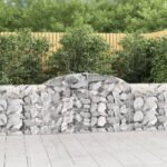 Paniers à gabions arqués 11 pcs 300x30x80/100 cm fer galvanisé
