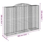 Paniers à gabions arqués 11 pcs 300x50x200/220 cm Fer galvanisé – Image 4