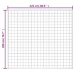 Couverture lestée Bleu 200x225 cm 13 kg Tissu – Image 4