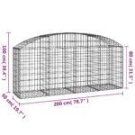 Panier de gabions arqué 200x50x80/100 cm Fer galvanisé – Image 3