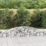 Panier de gabions arqué 400x30x40/60 cm Fer galvanisé