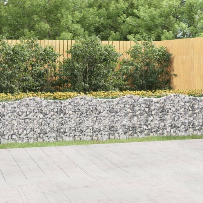 Lit surélevé à gabions arqué 600x50x100 cm Fer galvanisé – Image 1