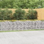 Lit surélevé à gabions arqué 800x50x100 cm Fer galvanisé