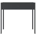 Jardinières 2 pcs Anthracite Acier galvanisé – Image 4