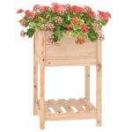 Jardinière avec étagère 54x54x81 cm Bois massif de pin – Image 2