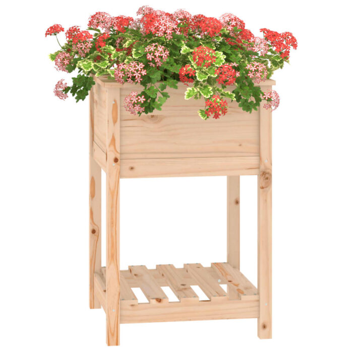 Jardinière avec étagère 54x54x81 cm Bois massif de pin – Image 2