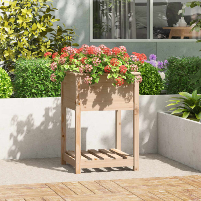 Jardinière avec étagère 54x54x81 cm Bois massif de pin – Image 1