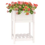 Jardinière avec étagère Blanc 54x54x81 cm Bois massif de pin – Image 2