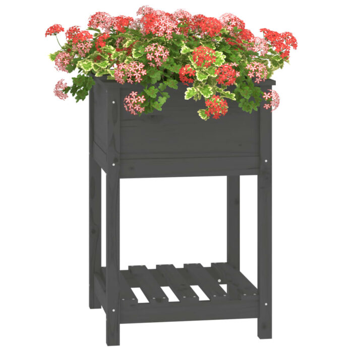 Jardinière avec étagère Gris 54x54x81 cm Bois massif de pin – Image 2