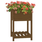 Jardinière avec étagère Marron miel 54x54x81 cm Bois de pin – Image 2