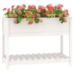 Jardinière avec étagère Blanc 111,5x54x81 cm Bois massif de pin – Image 2