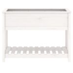 Jardinière avec étagère Blanc 111,5x54x81 cm Bois massif de pin – Image 3