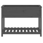 Jardinière avec étagère Gris 111,5x54x81 cm Bois massif de pin – Image 3